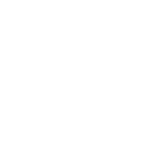 NFLActions logo